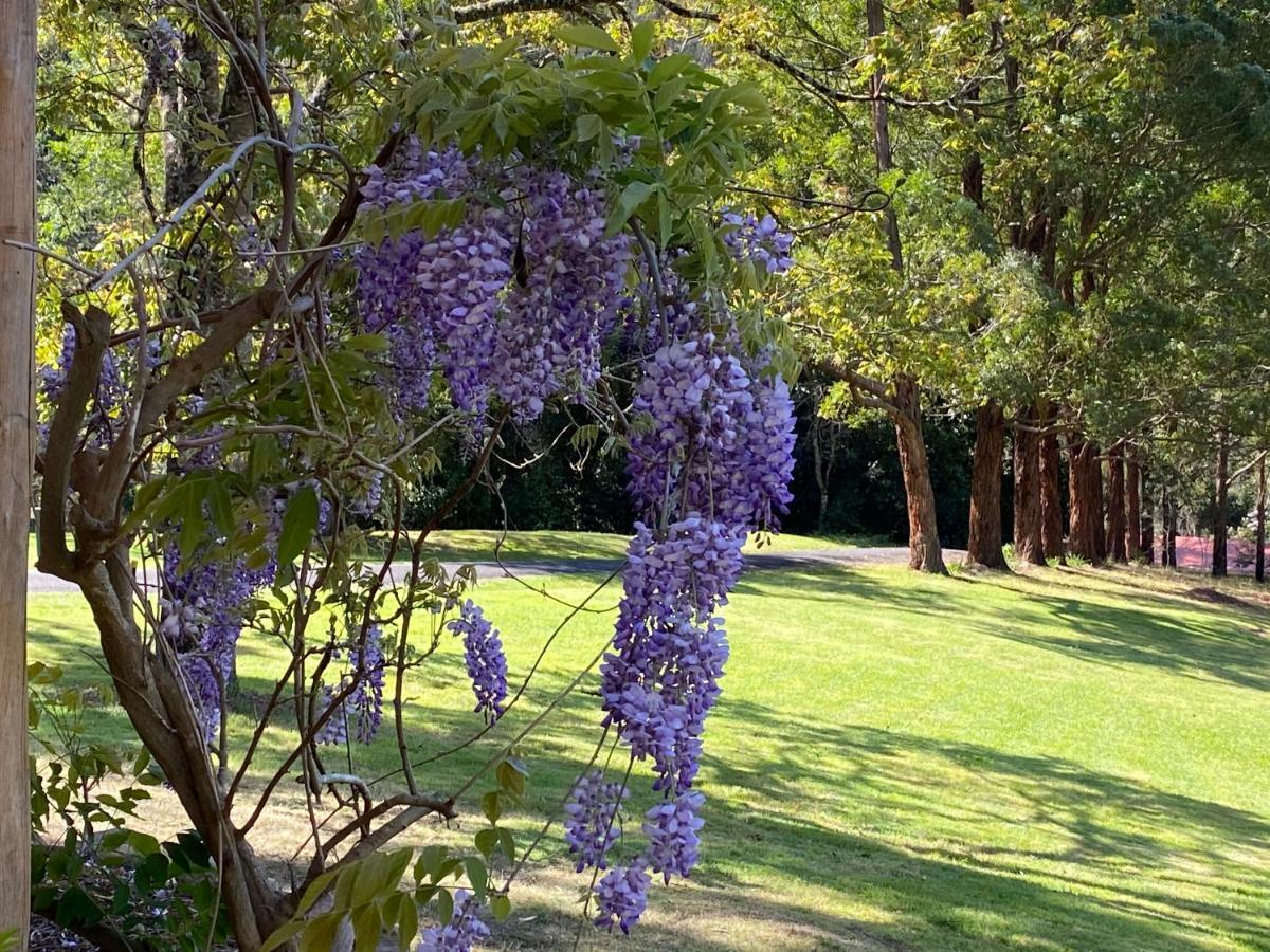Copeland House Bed & Breakfast Dış mekan fotoğraf